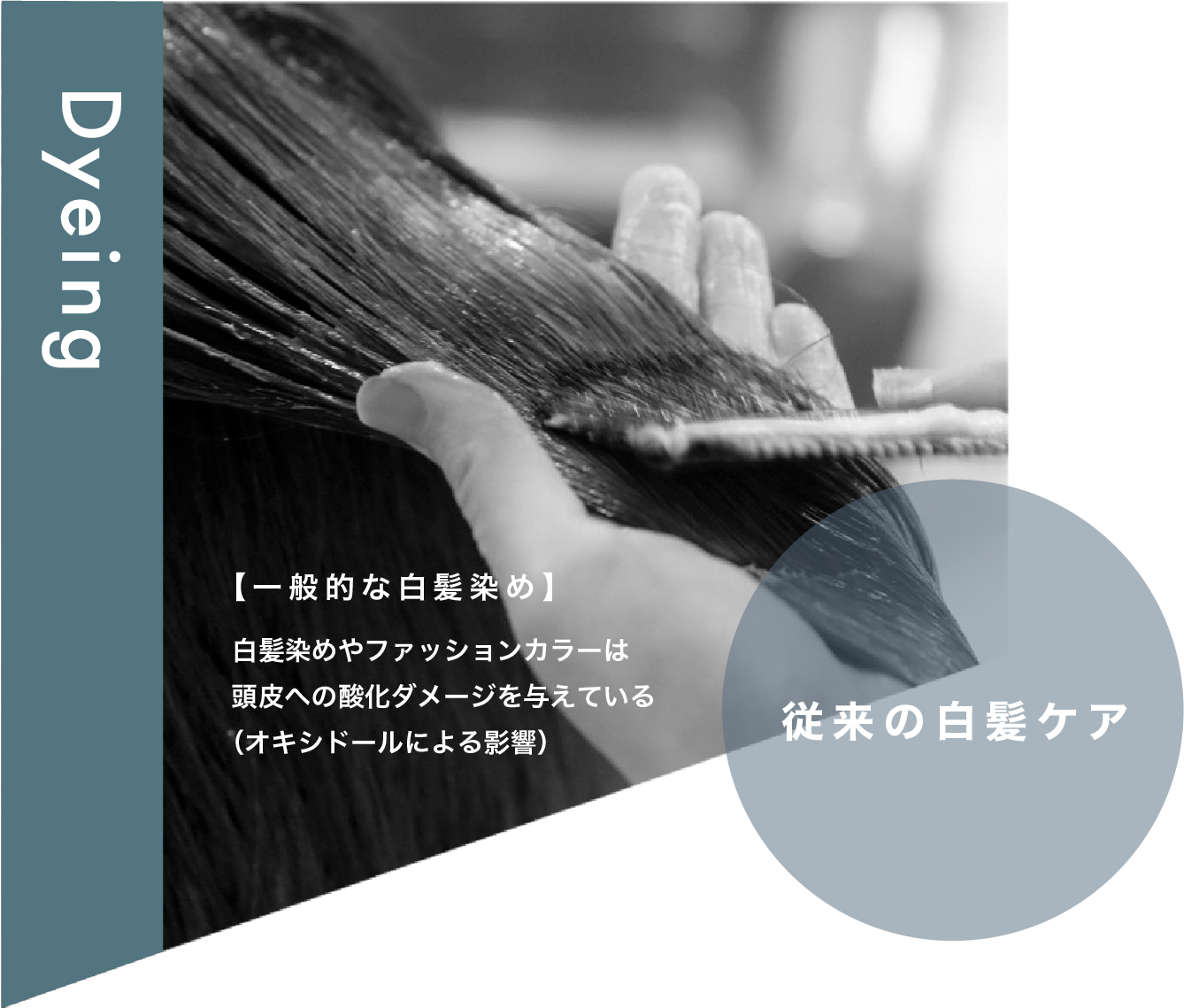 Dyeing 従来の白髪ケア 【一般的な白髪染め】白髪染めやファッションカラーは 頭皮への酸化ダメージを与えている （オキシドールによる影響）