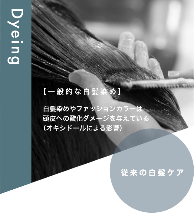 Dyeing 従来の白髪ケア 【一般的な白髪染め】白髪染めやファッションカラーは 頭皮への酸化ダメージを与えている （オキシドールによる影響）