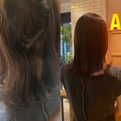 195D3CD7-8FE9-491B-86E4-4D510503C833