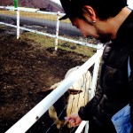 2013-11-24-10-21-40_deco