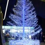 2013-12-23-00-18-49_deco