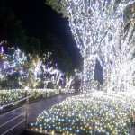 2013-12-23-00-20-17_deco