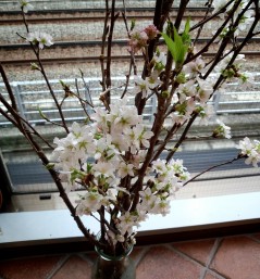 2014-03-01-08-10-04_deco