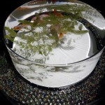 2014-07-20-20-57-49_deco