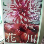 2014-11-21-16-09-14_deco