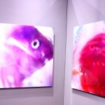 2014-11-21-16-10-11_deco