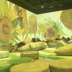 2ACED42B-4CF0-43E3-8947-9BC19877B0F5