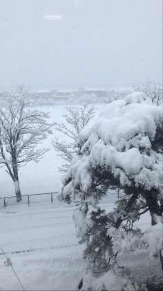 862C1A26-E025-42F2-9F93-E02D983715AC